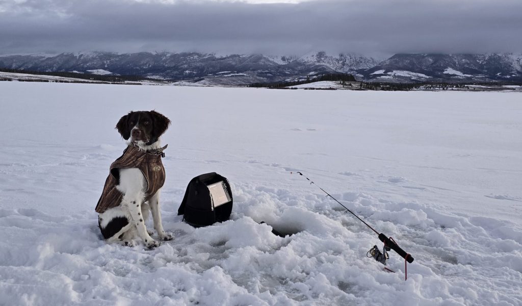 20241227 072202 scaled