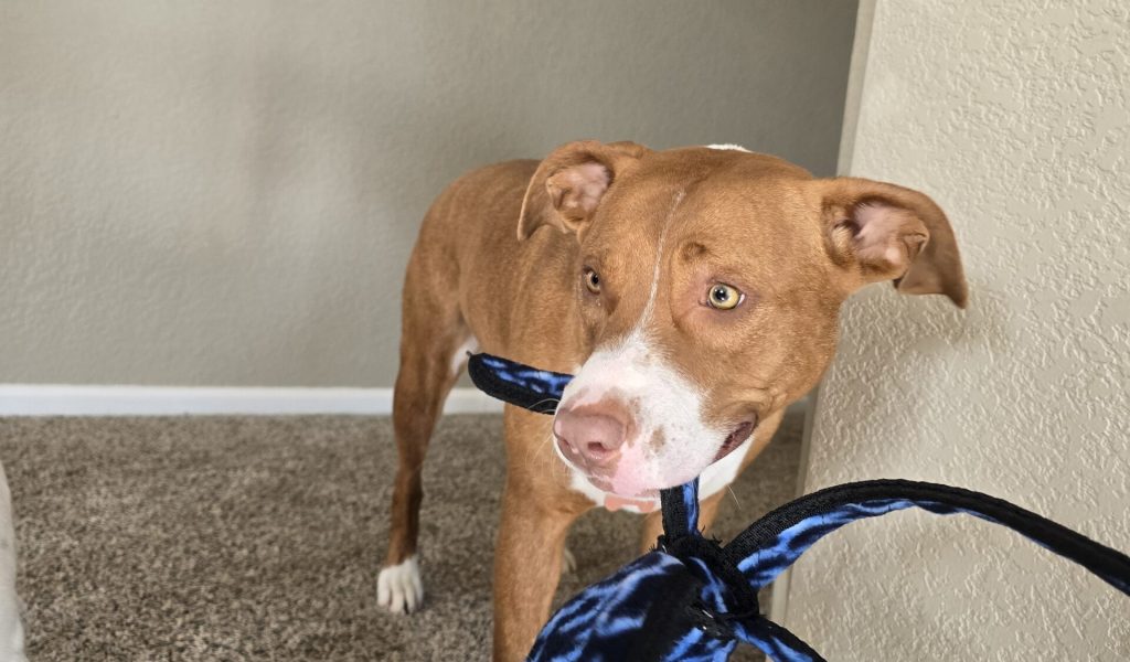 20250216 100844 scaled